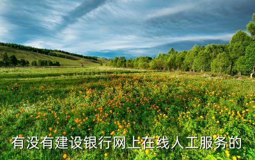 有没有建设银行网上在线人工服务的