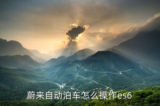 蔚来自动泊车怎么操作es6