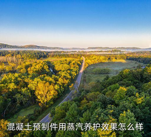 蒸汽热源机,公司致力研发节能、环保、低氮减排型热能产品