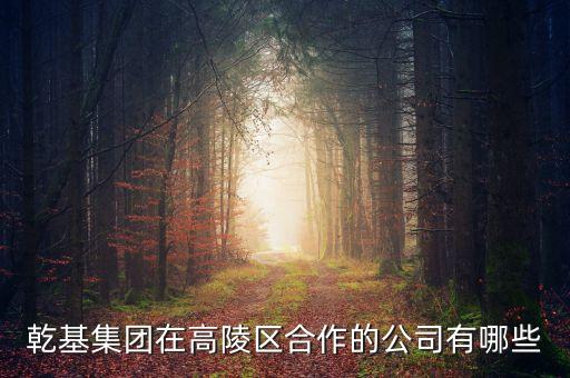 乾基集团在高陵区合作的公司有哪些