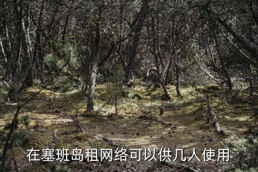 在塞班岛租网络可以供几人使用