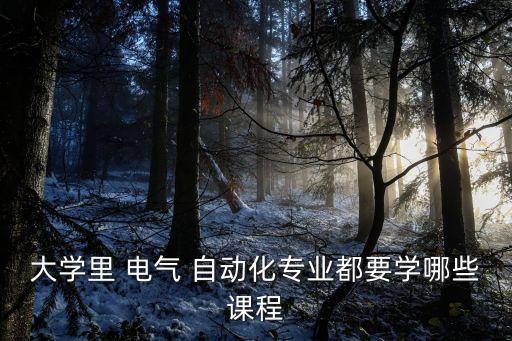电气自动化物理怎么学的,物理不好可以学电气自动化吗