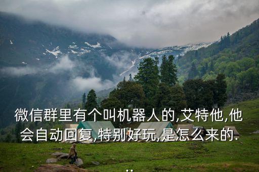微信群里有个叫机器人的,艾特他,他会自动回复,特别好玩,是怎么来的...