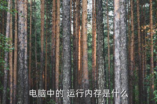 电脑中的 运行内存是什么