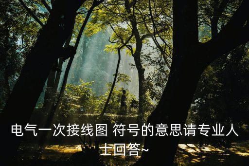 电气一次接线图 符号的意思请专业人士回答~