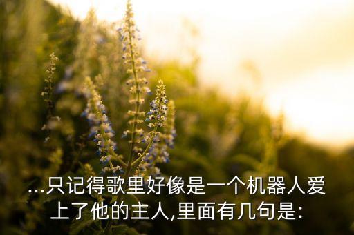 ...只记得歌里好像是一个机器人爱上了他的主人,里面有几句是: