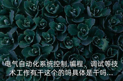 电气自动化系统控制,编程、调试等技术工作有干这个的吗具体是干吗...