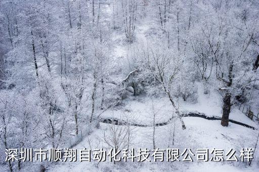 深圳市顺翔自动化科技有限公司怎么样