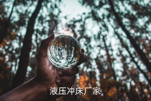 液压冲床厂家