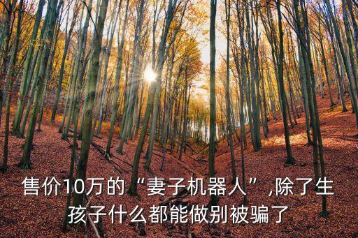 售价10万的“妻子机器人”,除了生孩子什么都能做别被骗了