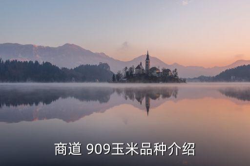 商道 909玉米品种介绍