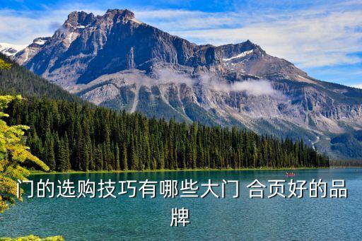 门的选购技巧有哪些大门 合页好的品牌