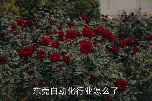 铭格自动化设备怎么样啊,关于东莞自动化行业你必须知道的事