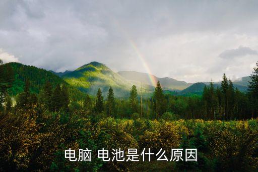  电脑 电池是什么原因