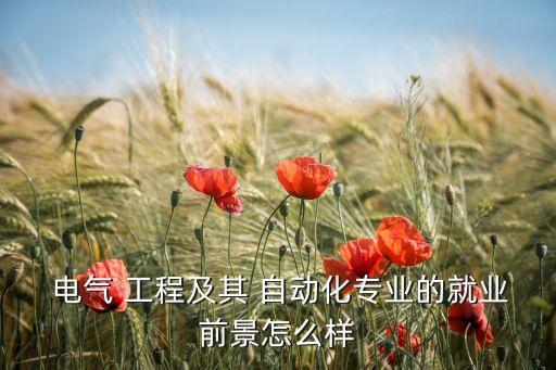  电气 工程及其 自动化专业的就业前景怎么样