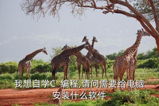 我想自学c  编程,请问需要给电脑安装什么软件