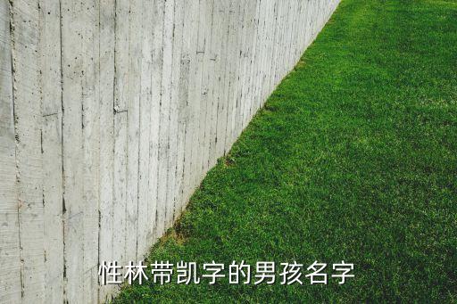 性林带凯字的男孩名字