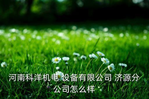 河南科洋机电 设备有限公司 济源分公司怎么样