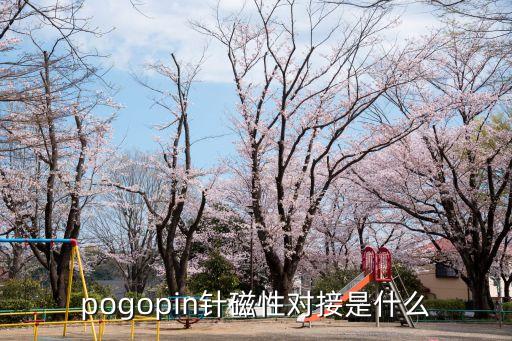 pogopin针磁性对接是什么