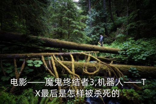 电影——魔鬼终结者3,机器人——tx最后是怎样被杀死的