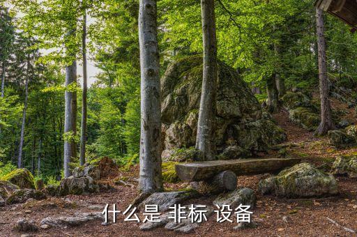 什么是 非标 设备