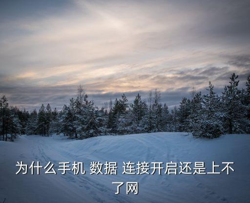 为什么手机 数据 连接开启还是上不了网