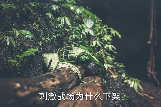 和平精英刺激战场,刺激战场和和平精英是否有关联