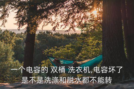 双桶洗衣机的部分技术数据