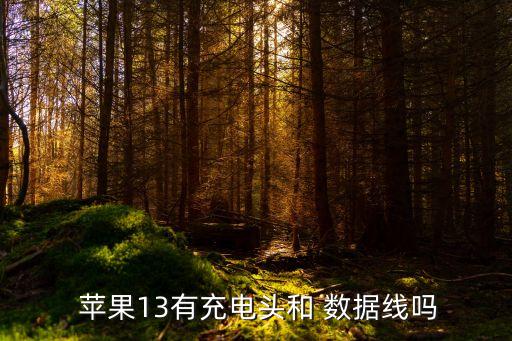  苹果13有充电头和 数据线吗