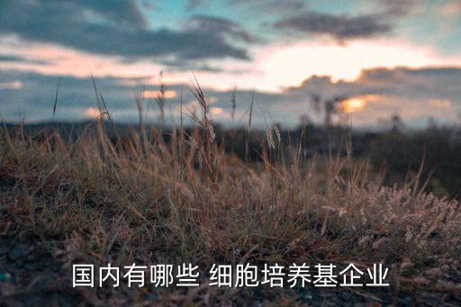国内有哪些 细胞培养基企业