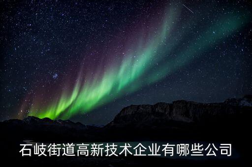 石岐街道高新技术企业有哪些公司