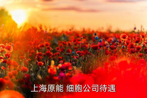 上海原能 细胞公司待遇