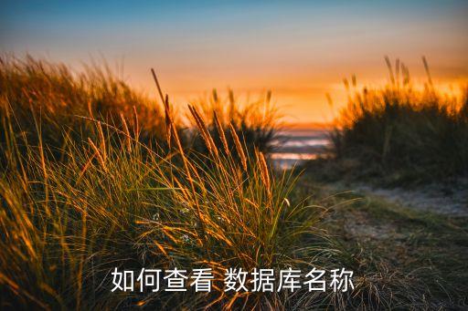 怎么看线上的数据库,2077大曝光数据库怎么看