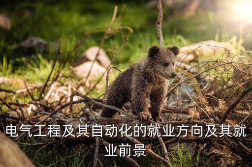 电气工程及其自动化的就业方向及其就业前景