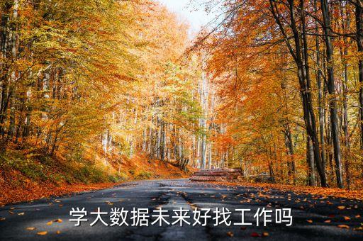 学大数据未来好找工作吗