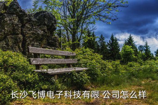 长沙飞博电子科技有限 公司怎么样