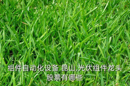 光伏组件自动化设备 昆山,光伏组件龙头股票有哪些