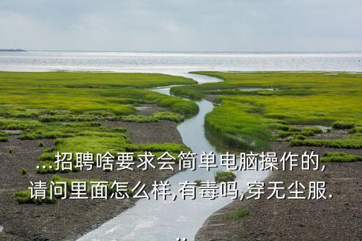 ...招聘啥要求会简单电脑操作的,请问里面怎么样,有毒吗,穿无尘服...