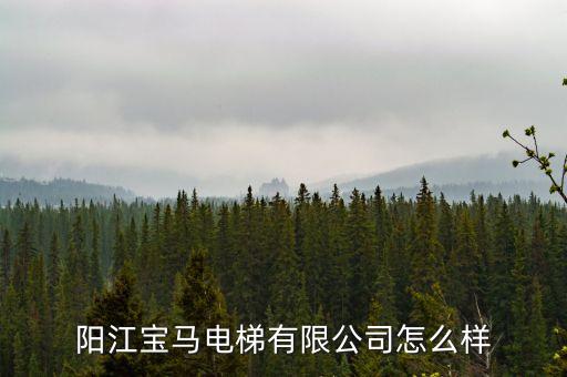 阳江宝马电梯有限公司怎么样