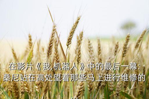 在影片《我,机器人》中的最后一幕:桑尼站在高处望着那些马上进行维修的...