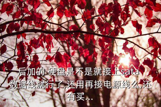 买硬盘没给数据线,硬盘数据线坏了的表现