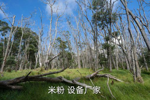 米粉 设备厂家