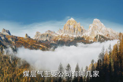 煤层气主要公司有哪几家