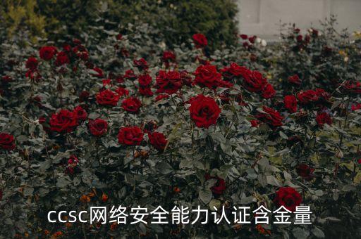 ccsc网络安全能力认证含金量