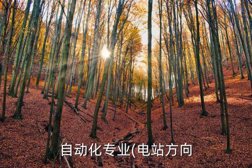 自动化专业(电站方向