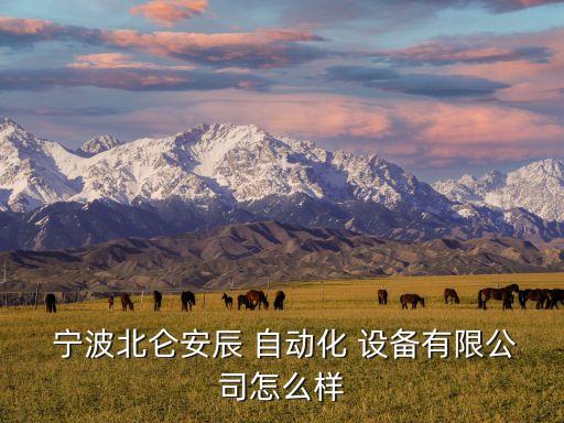  宁波北仑安辰 自动化 设备有限公司怎么样