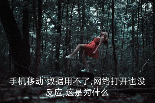 手机移动 数据用不了,网络打开也没反应,这是为什么