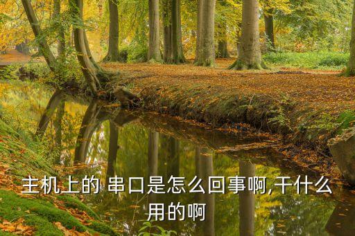 什么是串口,串口和并口的区别图解