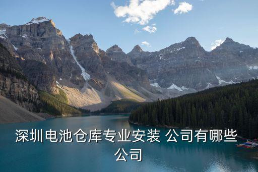 深圳电池仓库专业安装 公司有哪些 公司