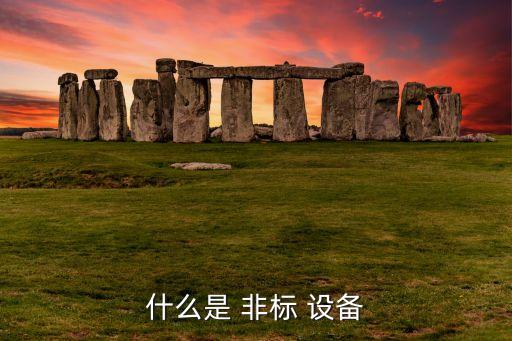 非标设备自动化打孔机,自动化非标设备什么意思啊